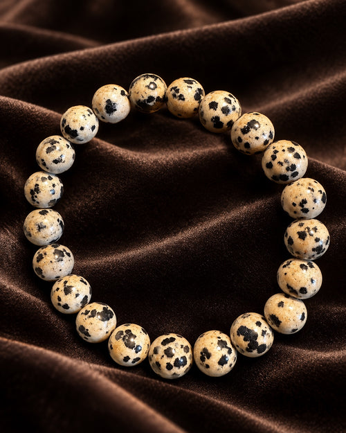 Dalmatinerjaspis armbånd med 10 mm perler på mørkebrun fløyel